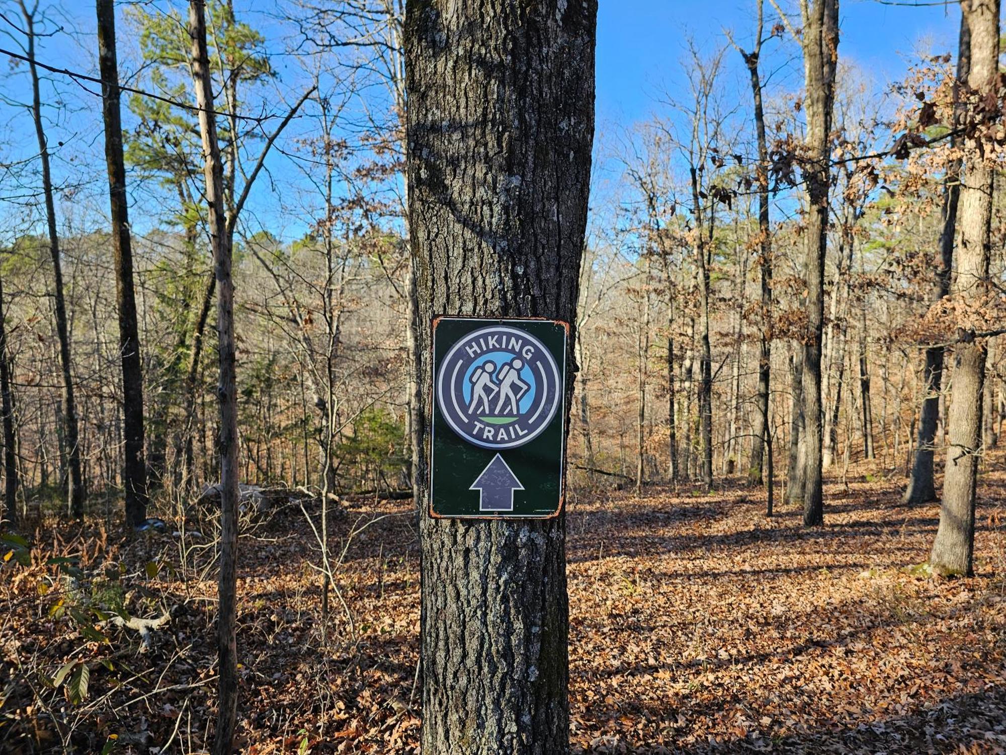 5 Min To Beaver Lake-King Bed-Fire Pit-Jetted Tub #5 Eureka Springs Εξωτερικό φωτογραφία